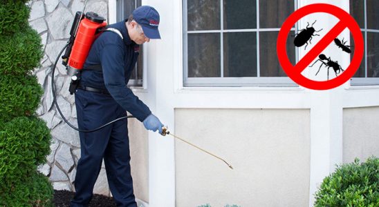 Doğançay Gümüşkurt İlaçlama böcek ilaçlama ve haşere kontrolü — ilaclama-tr.com